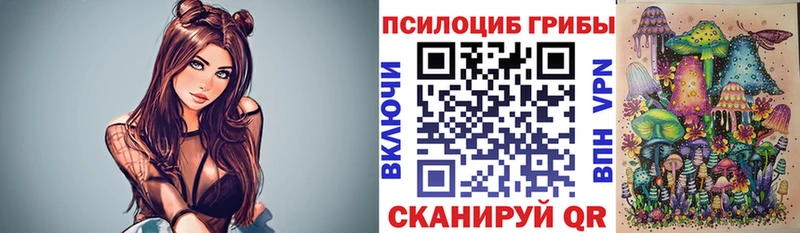 кракен   наркота  Юрга  Галлюциногенные грибы Magic Shrooms 