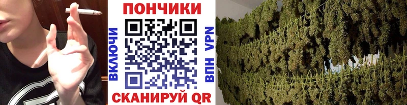 Конопля Ganja Юрга